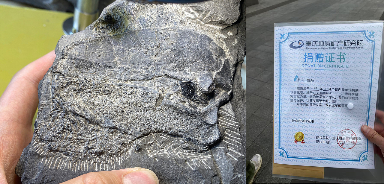 弓鲛（图ZMzg4OTA3MDgw） - 创作习作 - 站酷设计师咯咯新生原创素材 - 站酷ZCOOL