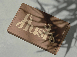 FlushHome品牌全案设计