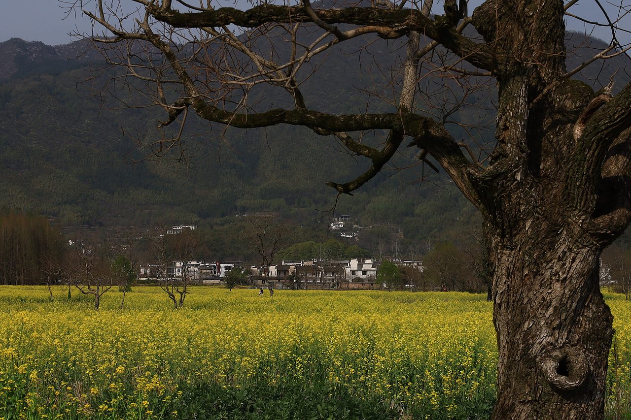 皖南徽州 | 春日