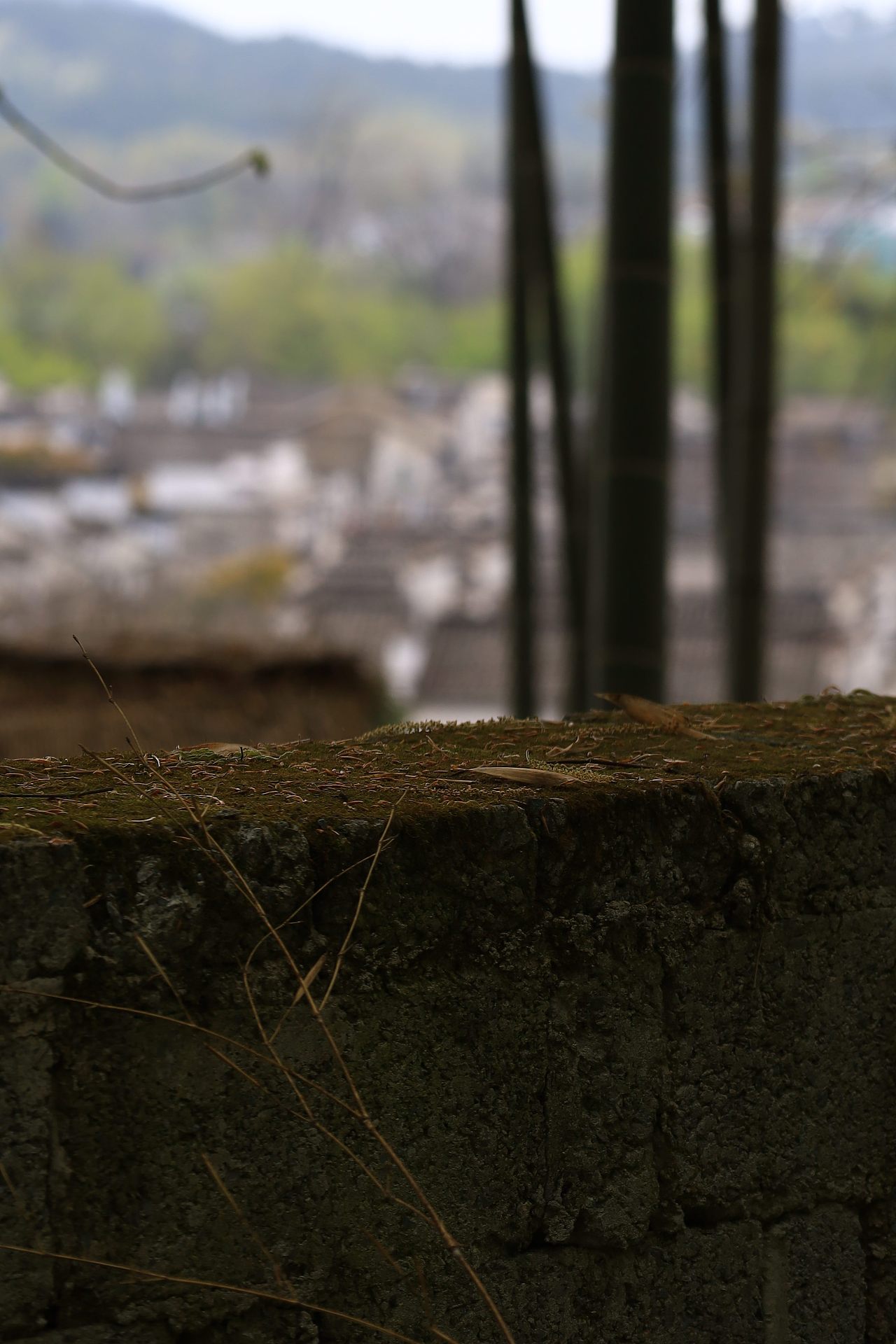 皖南徽州 | 春日