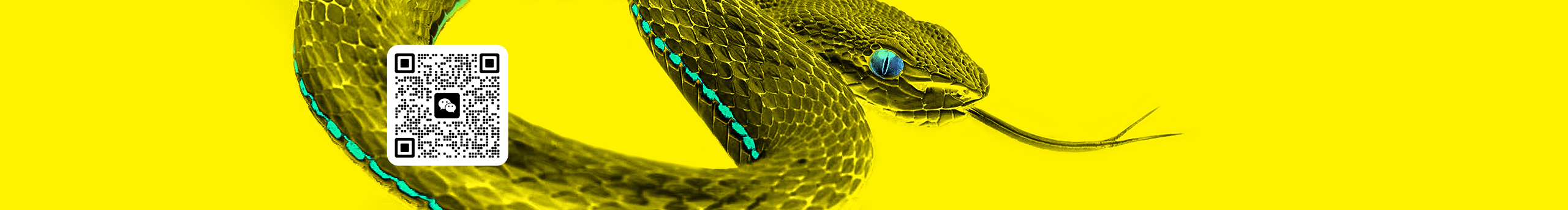 Jamvit的个人主页（封面预览） - 主页封面设置 - 站酷设计师Jamvit原创素材 - 站酷ZCOOL