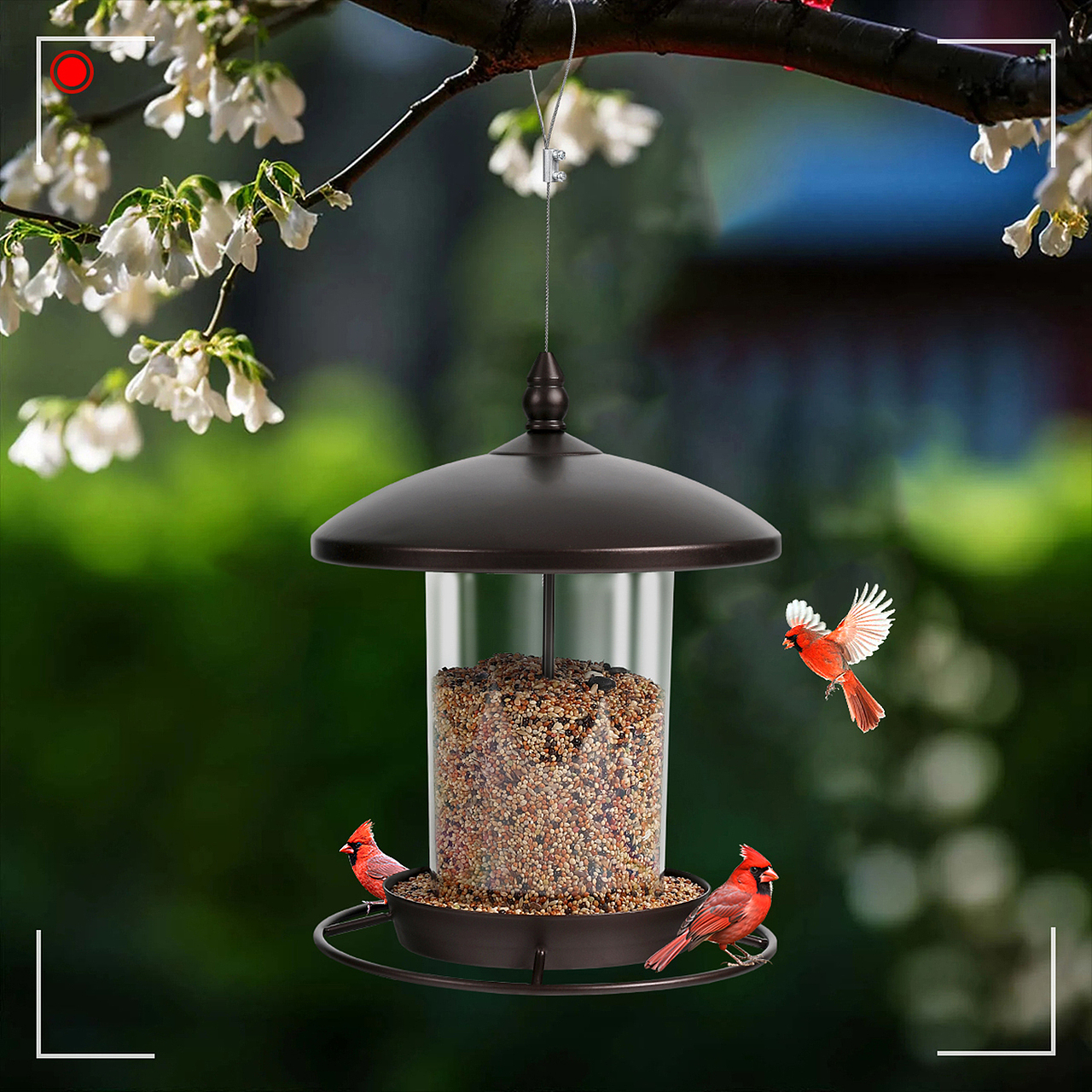 2024年电商产品建模渲染（图ZMzg4OTU5MDA0） - 产品 - 站酷设计师Myl1fe原创素材 - 站酷ZCOOL