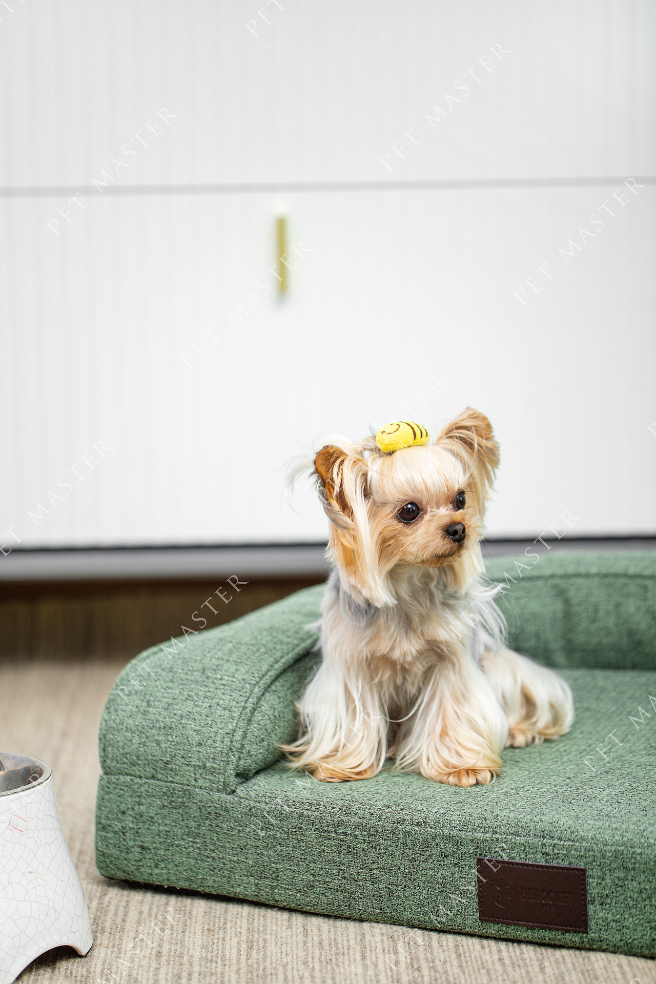 狗窝拍摄/宠物产品拍摄/宠物用品拍摄