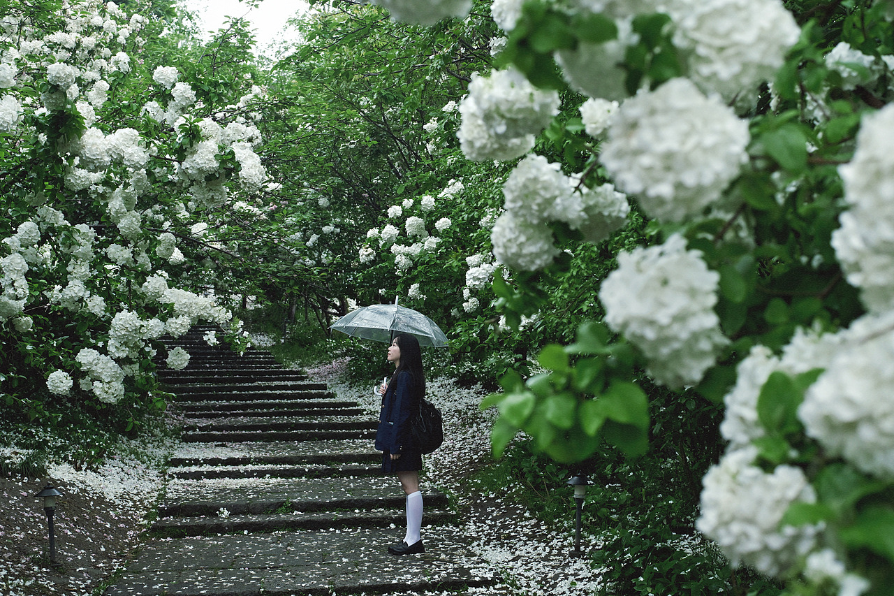 当雨滴擦亮青春，我们在水洼里打捞时光