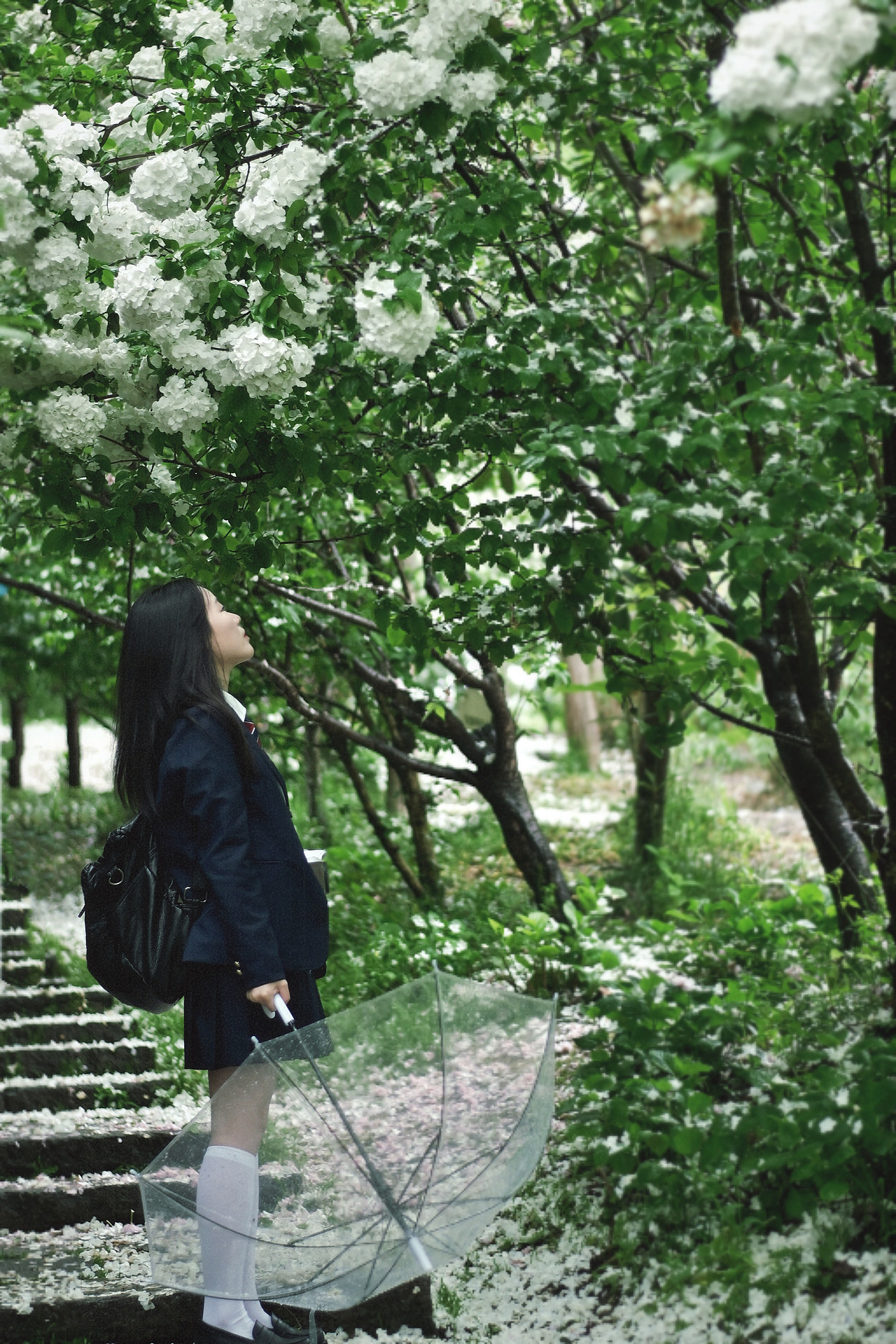 当雨滴擦亮青春，我们在水洼里打捞时光