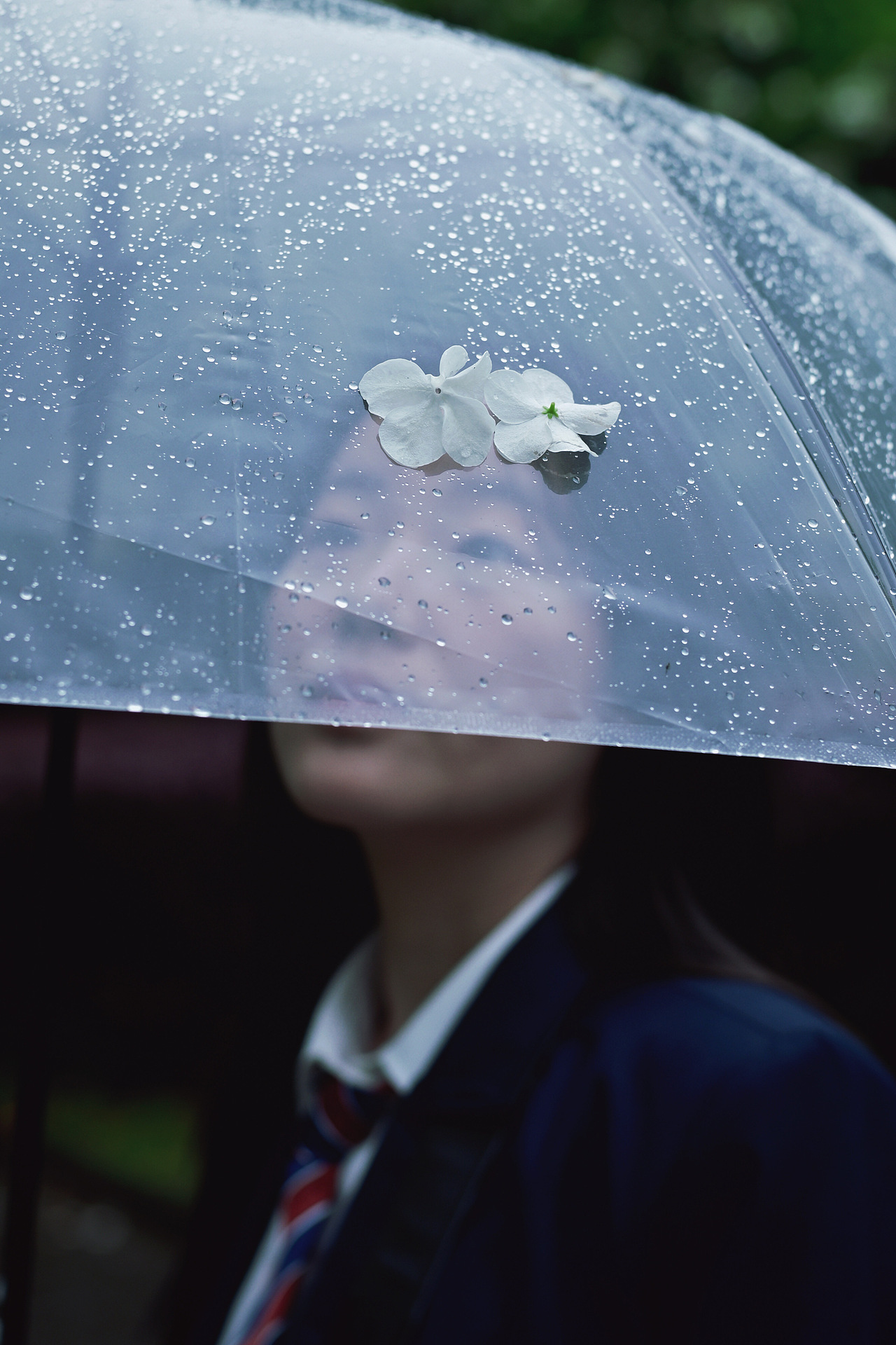 当雨滴擦亮青春，我们在水洼里打捞时光