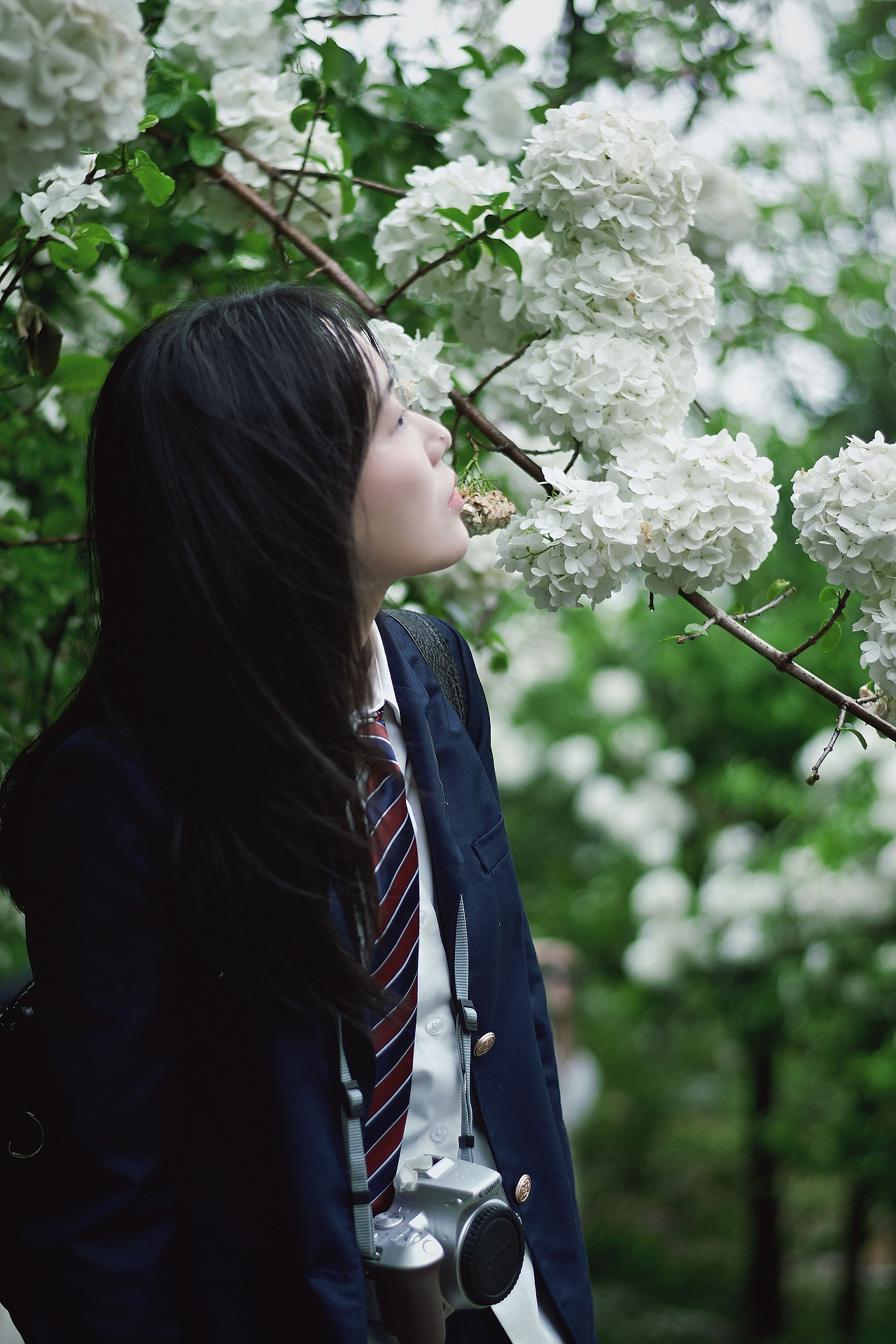 当雨滴擦亮青春，我们在水洼里打捞时光