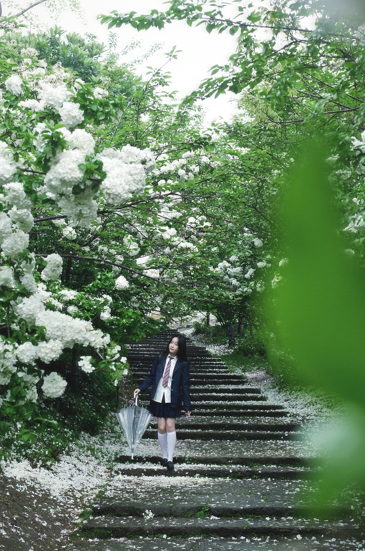 当雨滴擦亮青春，我们在水洼里打捞时光