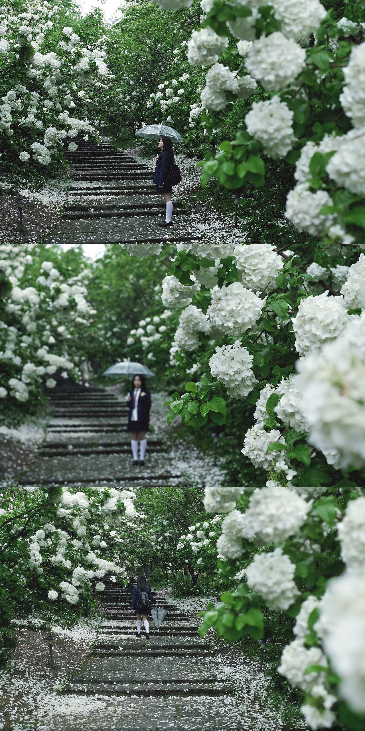 当雨滴擦亮青春，我们在水洼里打捞时光