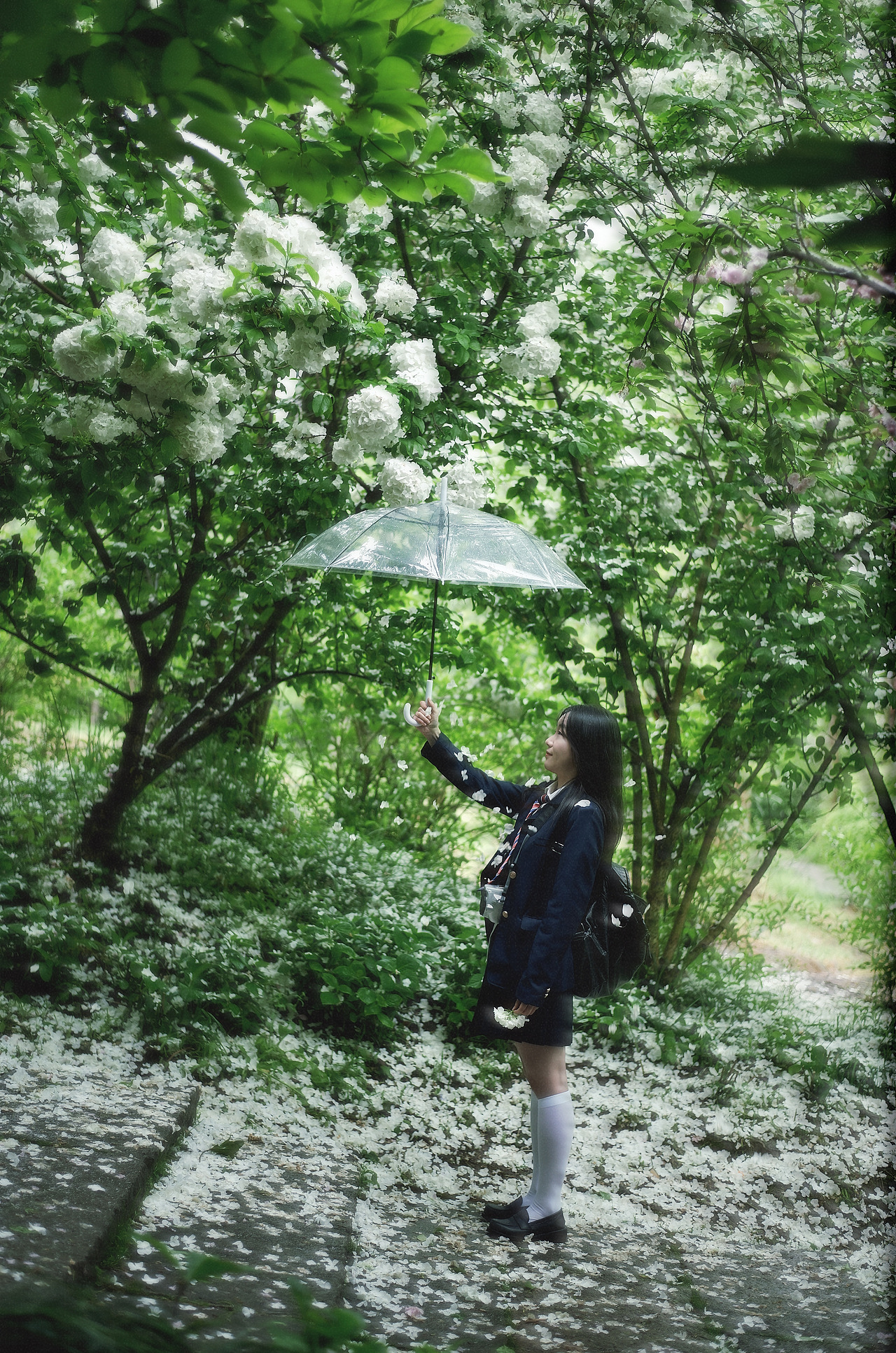 当雨滴擦亮青春，我们在水洼里打捞时光