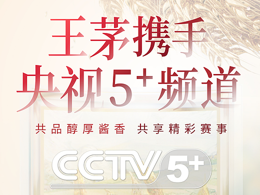 王茅 CCTV5