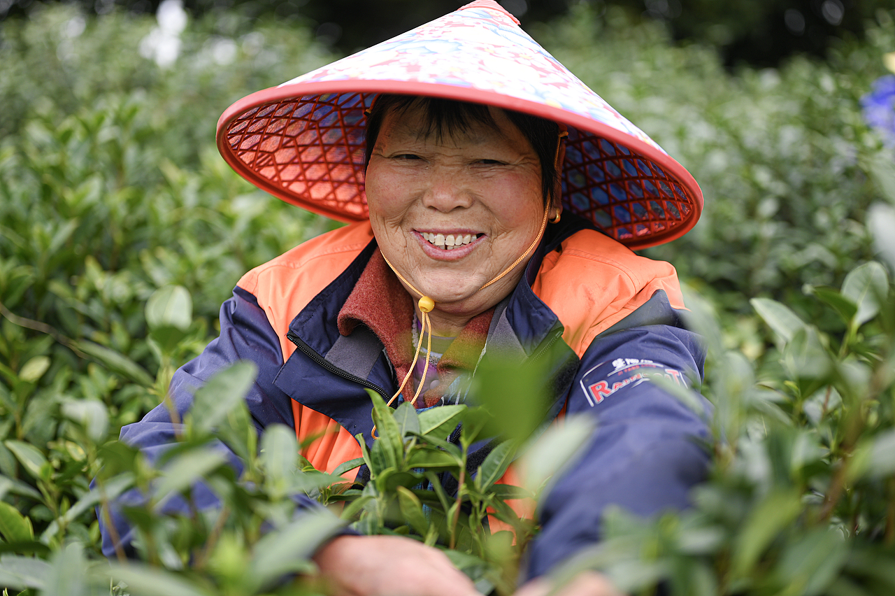 寻找春天的故事（油菜花茶叶樱花🌸）（图ZMzg4OTg4MDc2） - 人文/纪实摄影 - 站酷设计师半藏梨涡爱摄影原创素材 - 站酷ZCOOL