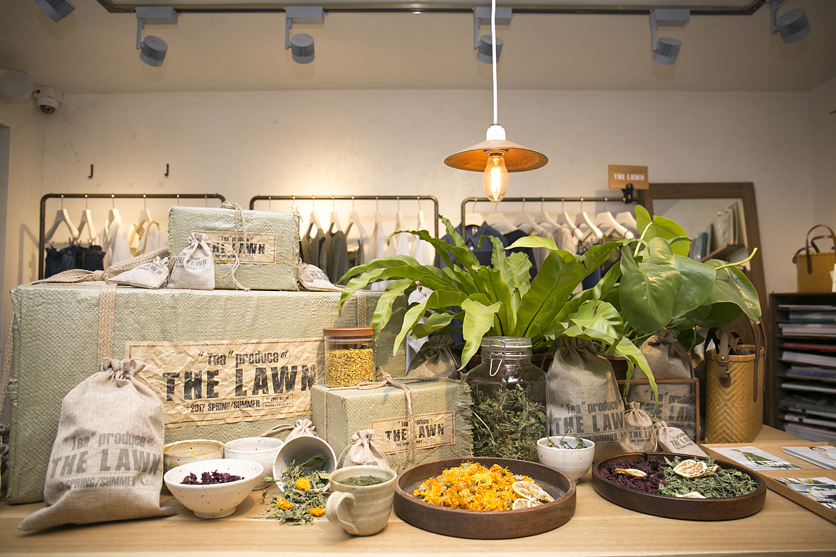 長作棟梁 x THE LAWN