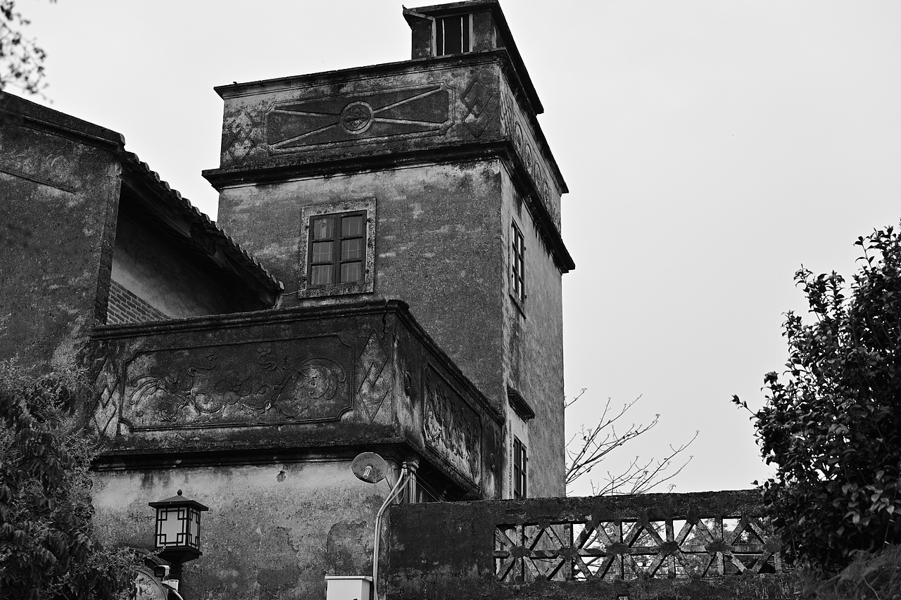 彩色的眼睛裏看黑白的世界