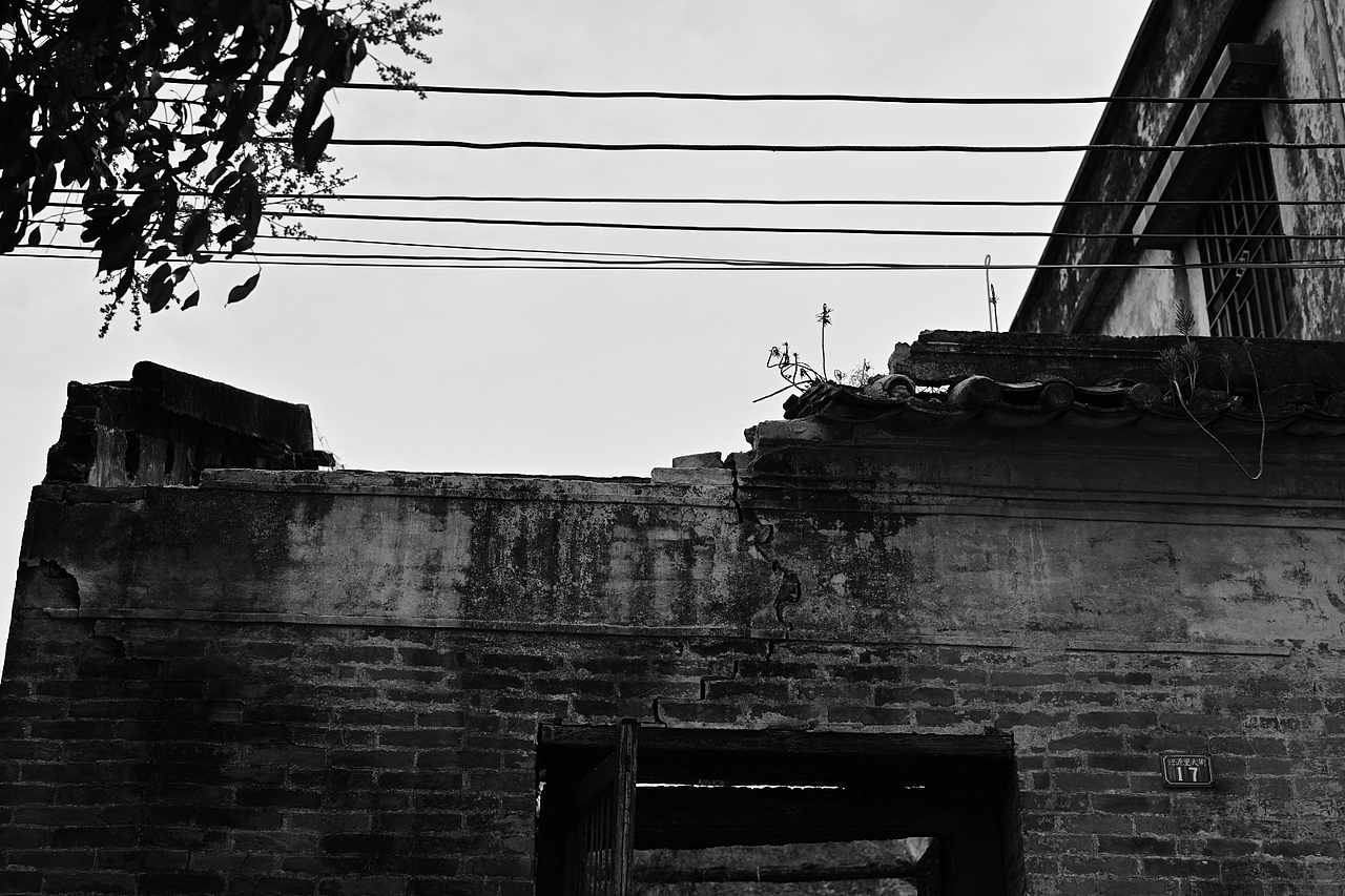 彩色的眼睛裏看黑白的世界