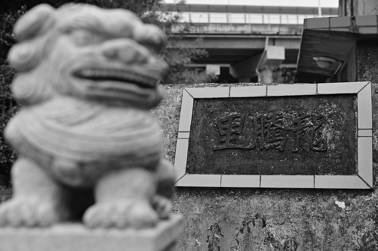 彩色的眼睛裏看黑白的世界