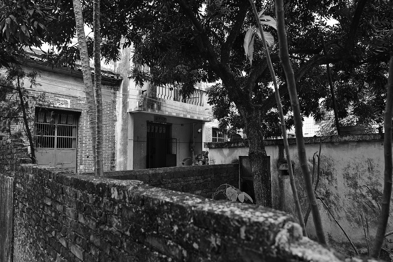 彩色的眼睛裏看黑白的世界