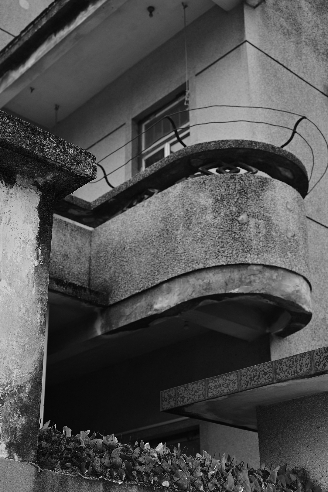 彩色的眼睛裏看黑白的世界