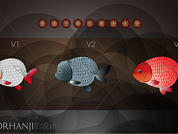 金鱼兰寿欣赏进化史