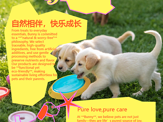 宠物品牌视觉