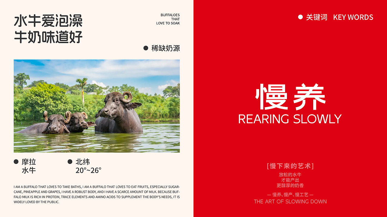 爱泡澡的水牛丨「天然慢养x珍稀奶源」 包装设计案例
