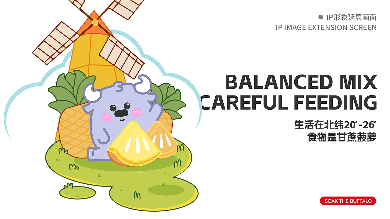 爱泡澡的水牛丨「天然慢养x珍稀奶源」 包装设计案例