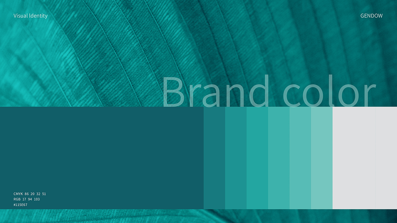 大道测序丨品牌设计案例