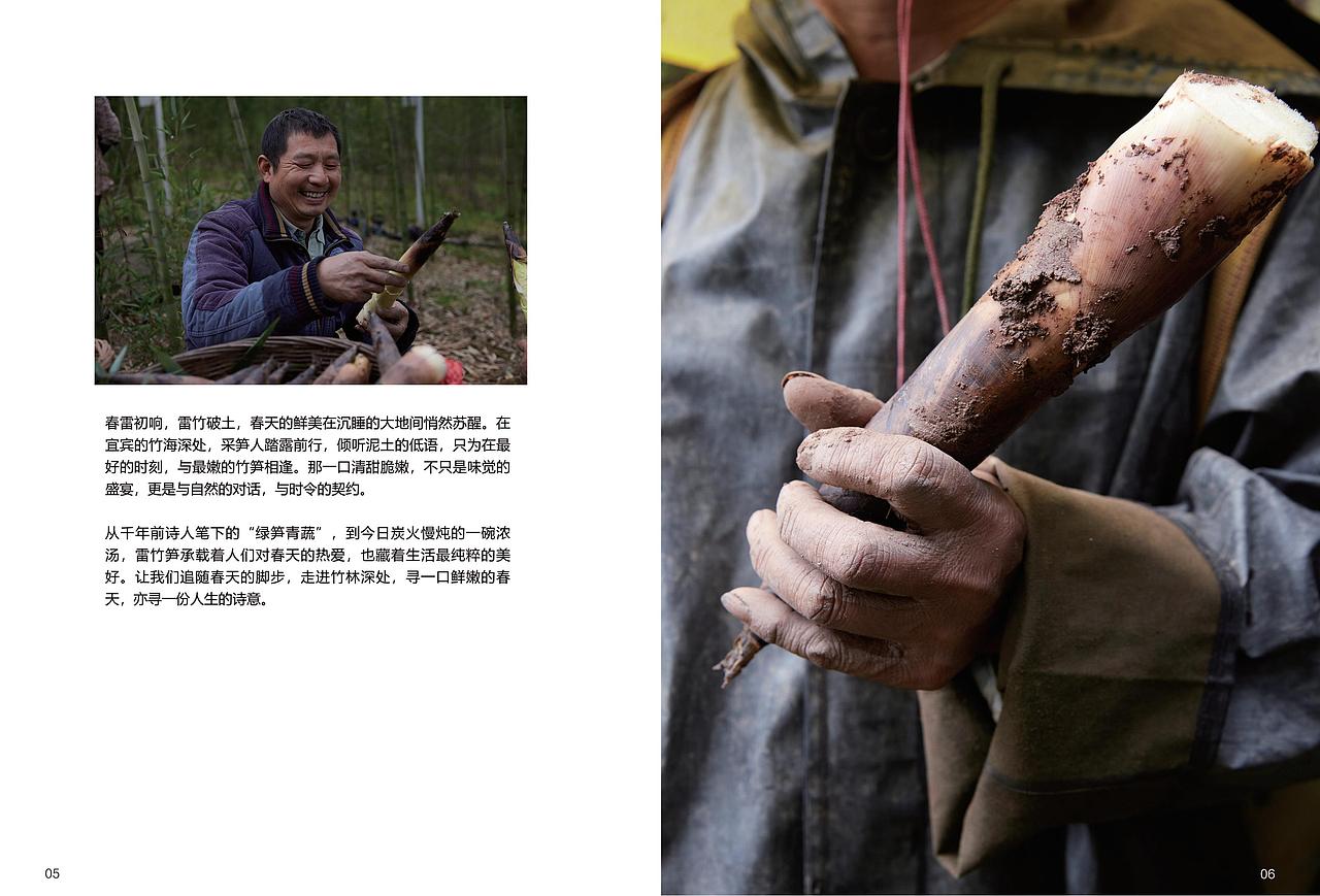 宣传册（图ZMzg5MDQ5MTUy） - 书籍/画册 - 站酷设计师玉文化设计原创素材 - 站酷ZCOOL