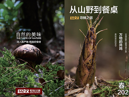 宣传册（个人主页-ZNzE3NTAyMDA=） - 书籍/画册 - 站酷设计师玉文化设计原创素材 - 站酷ZCOOL