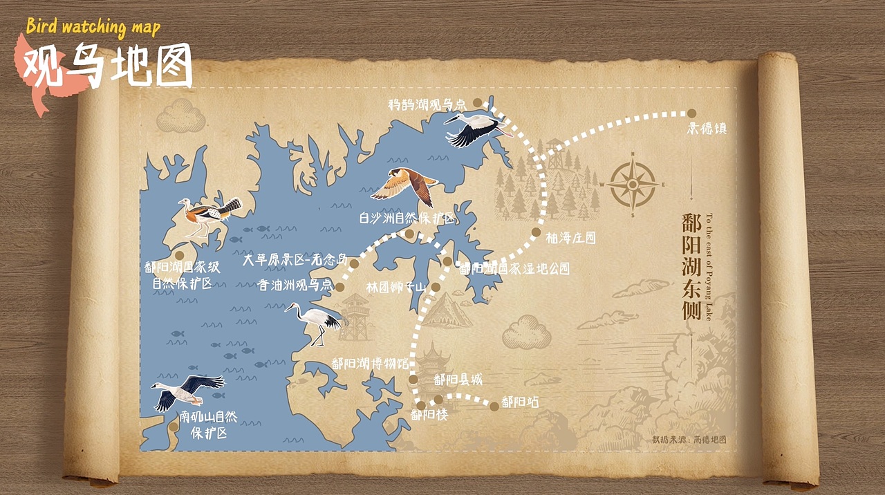 《鄱阳湖观鸟手册》文旅宣传设计