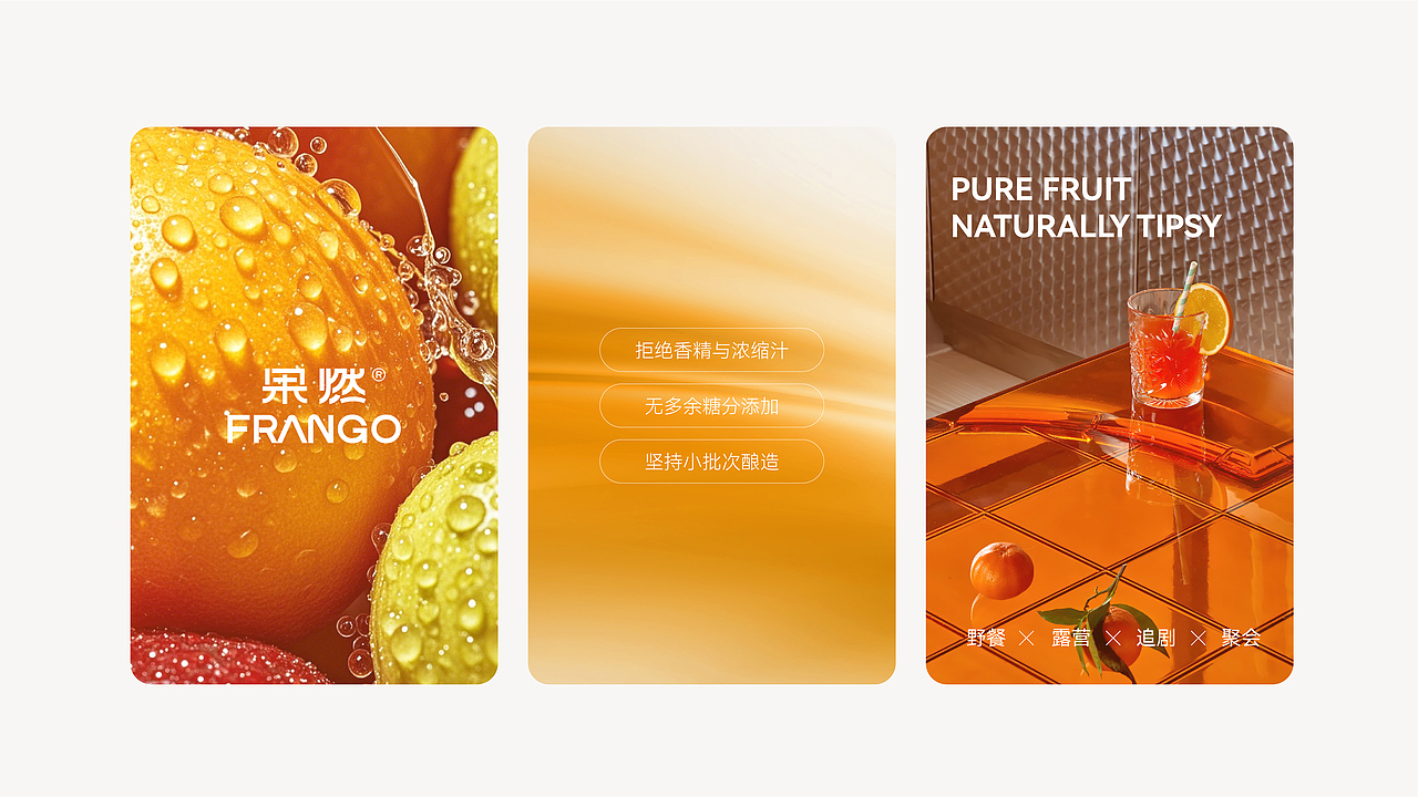 果燃气泡果酒品牌全案设计标志/VI/包装