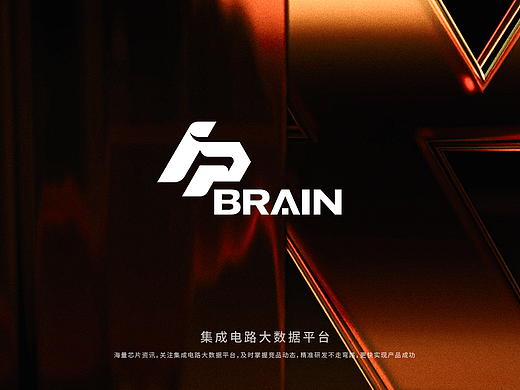 IP BRAIN|芯片大数据平台LOGO设计芯片logo芯片科技