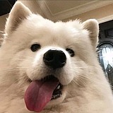 我加速超越的头像