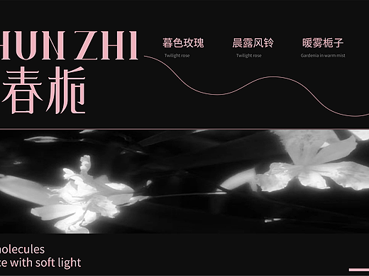 春栀香氛品牌设计