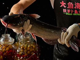 12：烤鱼摄影类
