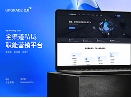 网站