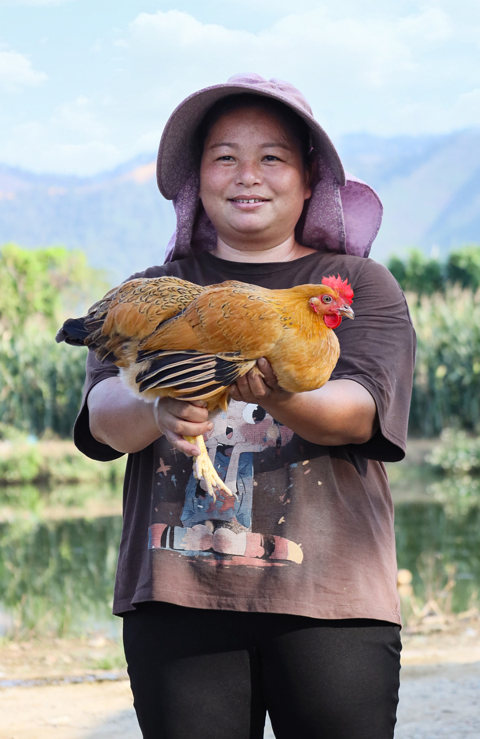 清远鸡山塘拍摄