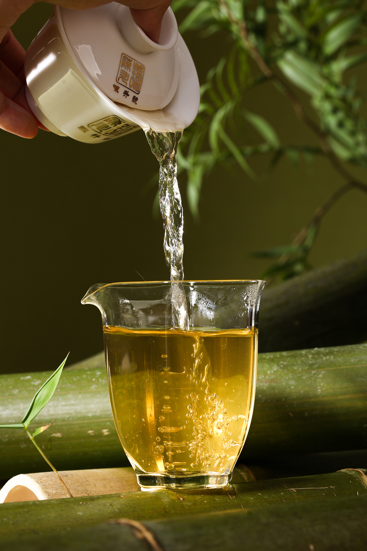 普洱茶丨陈升匠心