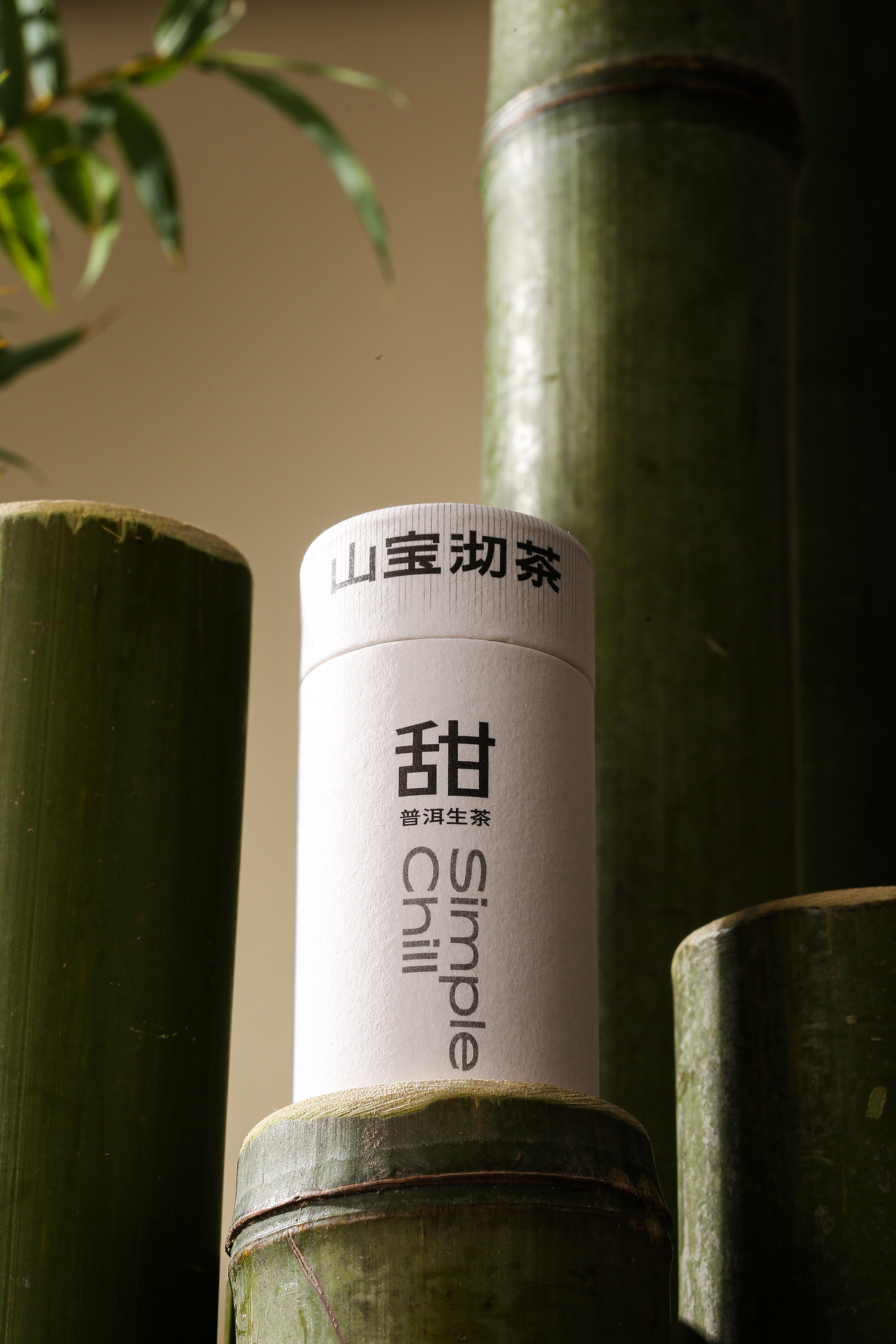 山宝沏茶丨普洱茶丨紧压茶