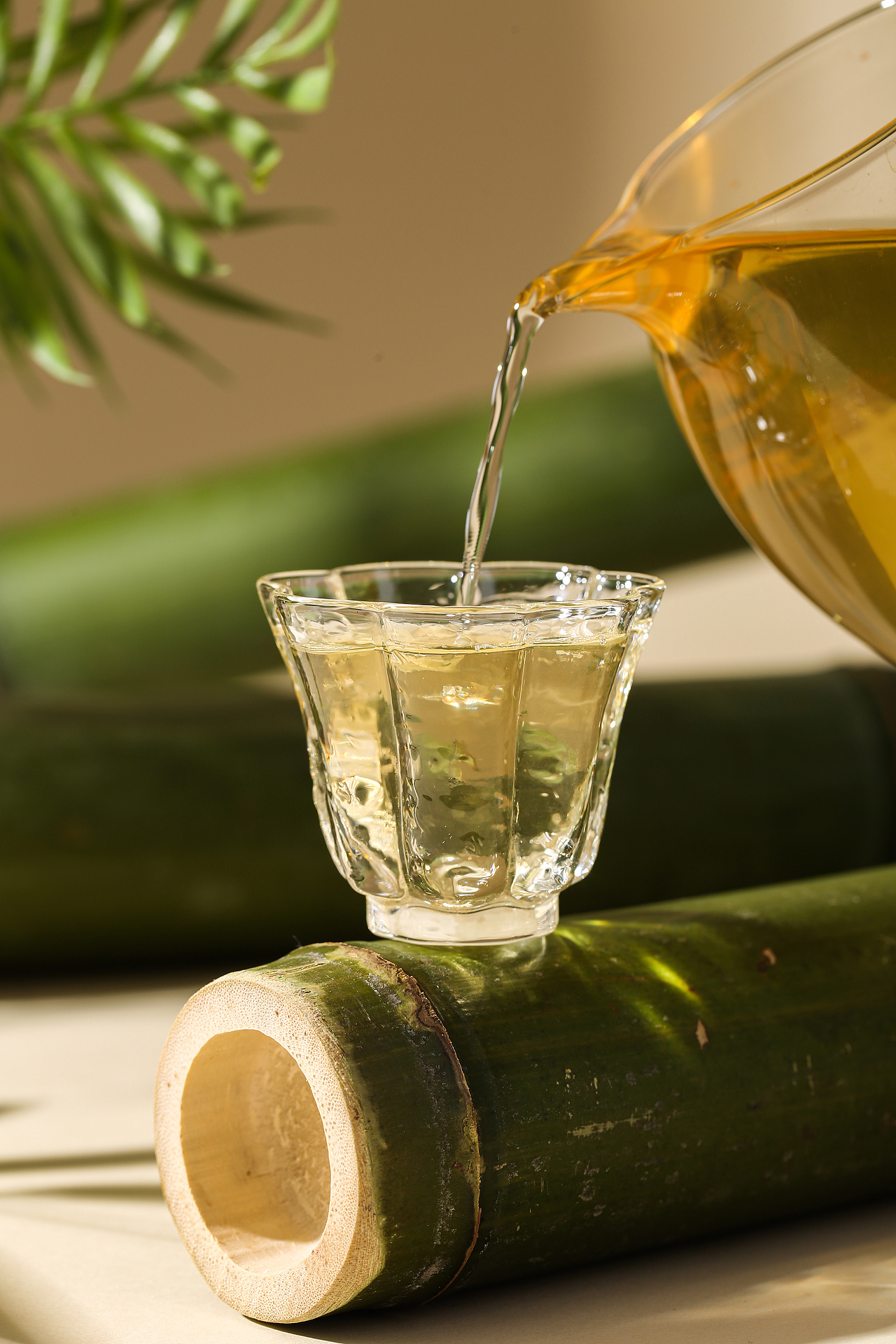 山宝沏茶丨普洱茶丨紧压茶