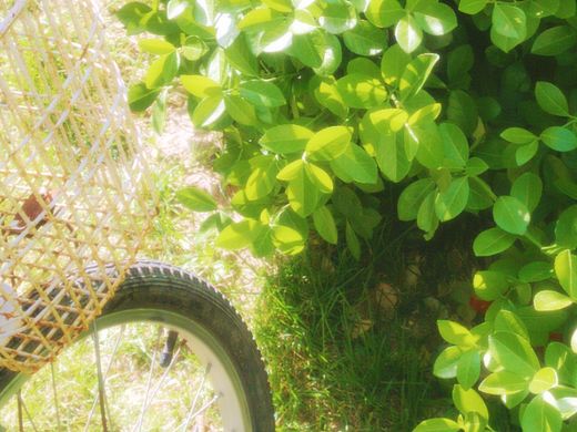 晒太阳的时候做梦了吗？