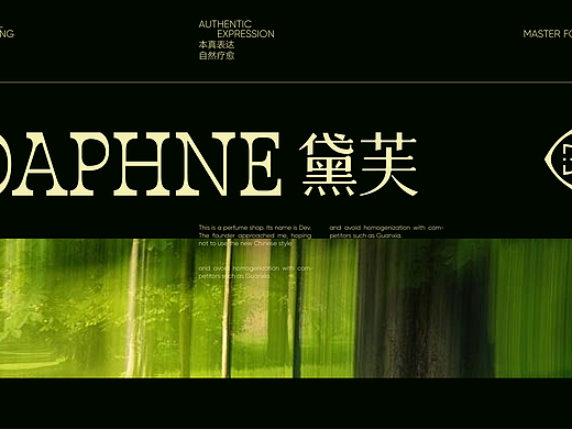 AIGC-黛芙品牌全案