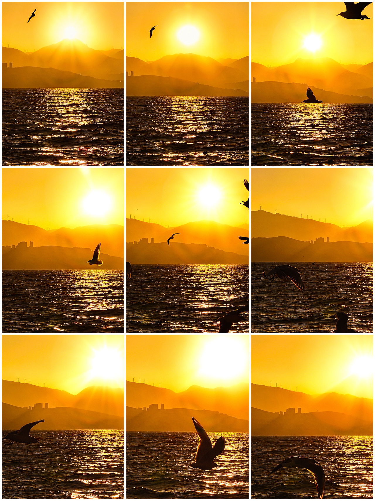 手机摄影笔记｜海鸥伴日升，洱海的晨之美（图ZMzg5MTYwMDAw） - 风光摄影 - 站酷设计师图龙摄影原创素材 - 站酷ZCOOL