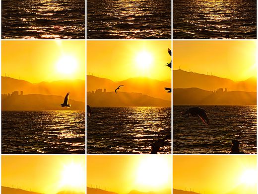 手机摄影笔记｜海鸥伴日升，洱海的晨之美