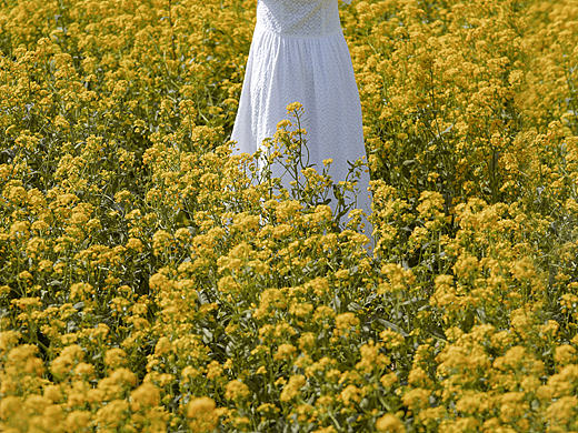 故事的小黄花（个人主页-ZNzE3NjI3MDQ=） - 宠物摄影 - 站酷设计师宠物摄影师甄妮原创素材 - 站酷ZCOOL