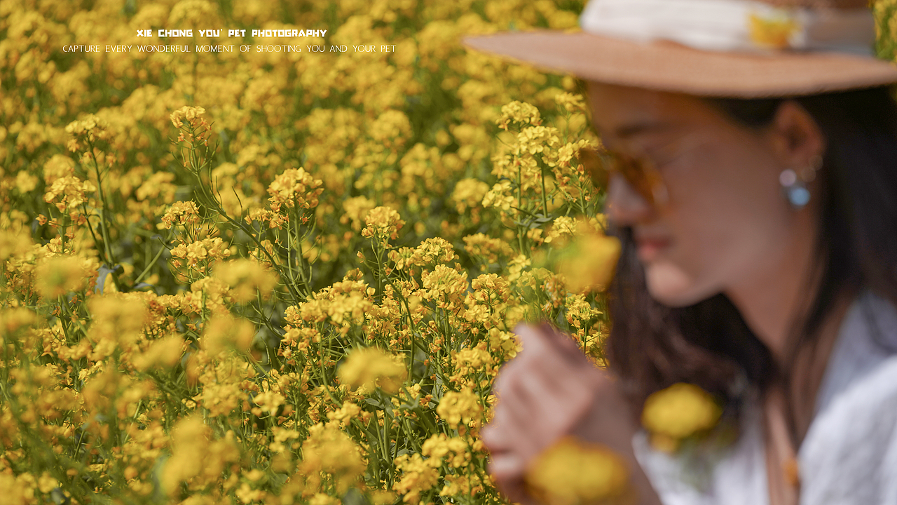 故事的小黄花（图ZMzg5MTc4MDAw） - 宠物摄影 - 站酷设计师宠物摄影师甄妮原创素材 - 站酷ZCOOL