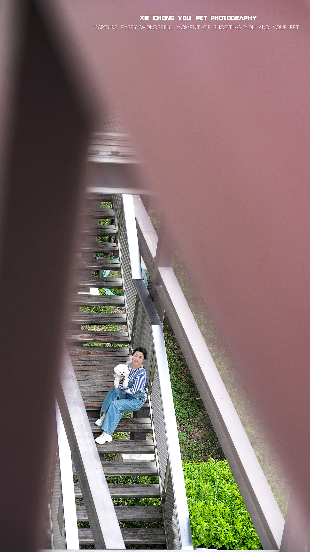 首钢（图ZMzg5MTgwMDQw） - 宠物摄影 - 站酷设计师宠物摄影师甄妮原创素材 - 站酷ZCOOL