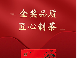 首页设计
