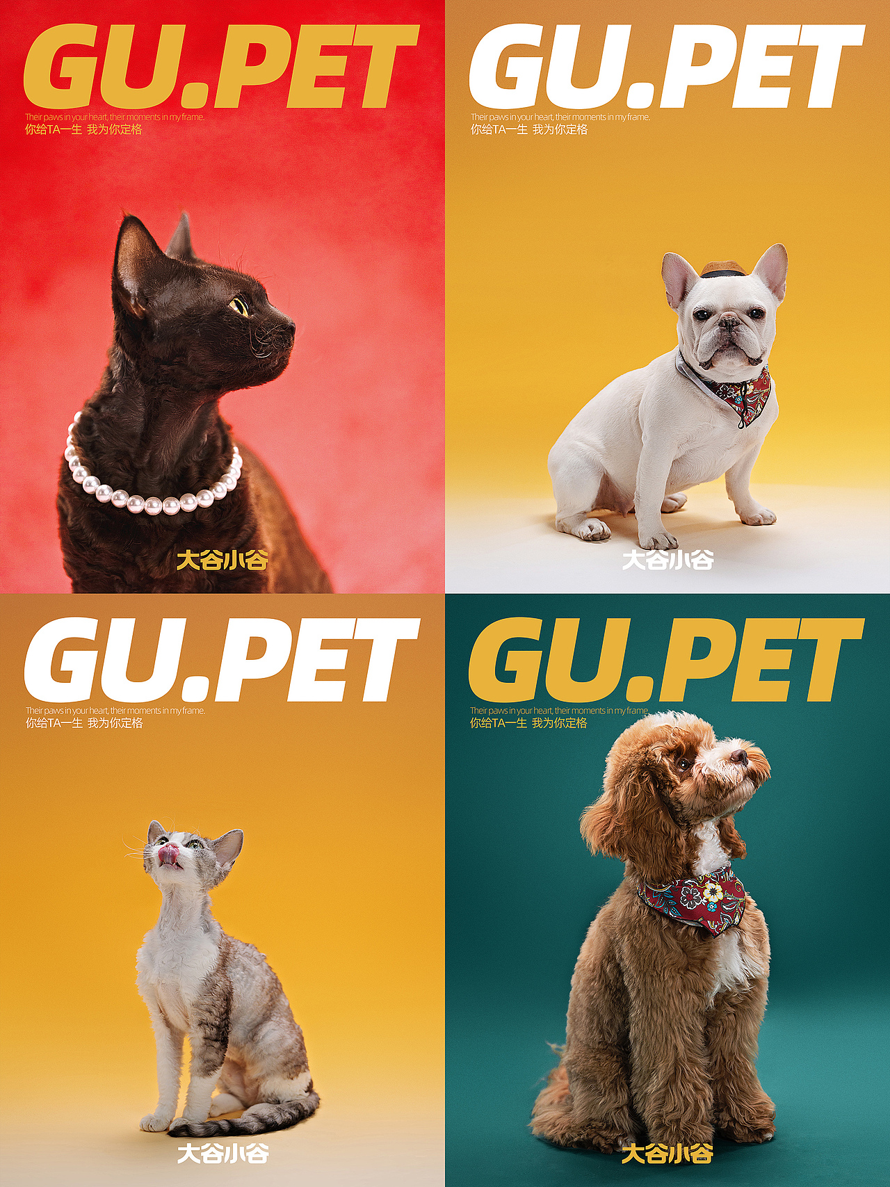 今天要是没有罐罐,小喵我也是略懂拳脚🐱👊🐶