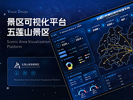 数据可视化